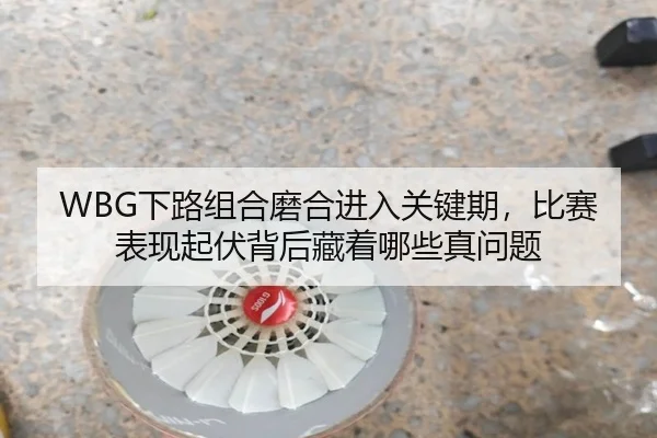 WBG下路组合磨合进入关键期，比赛表现起伏背后藏着哪些真问题 - shuangseqiu